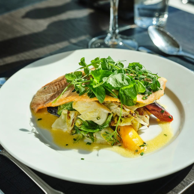 Plated fish fillet topped with fresh microgreens and served over cooked vegetables in a light sauce.