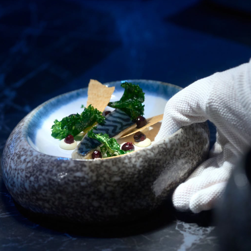 Elegantly plated mackerel dish with greens and berries being served by a gloved hand.